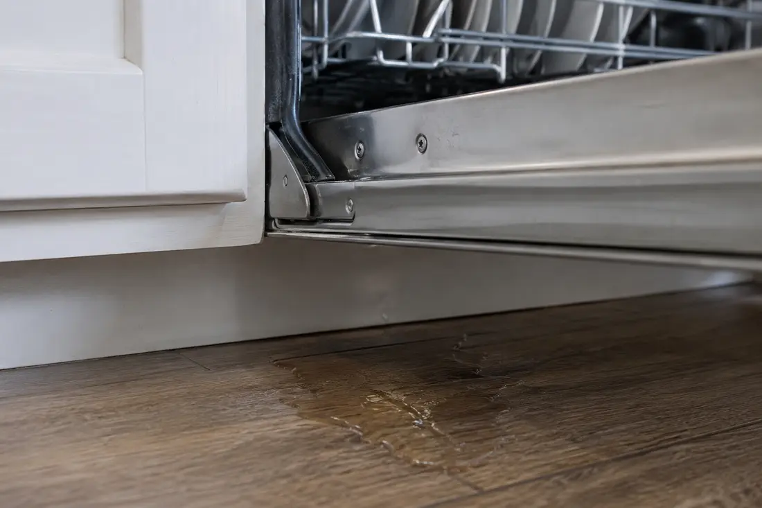 Water leaking below the lower corner of a dishwasher door